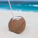 Beach Day - Brown Coconut on Sand