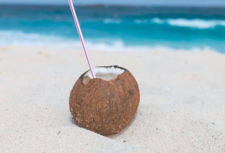Beach Day - Brown Coconut on Sand